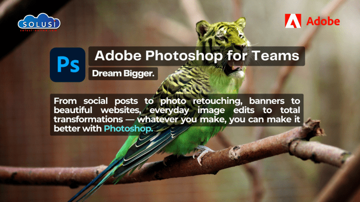 Fungsi Photoshop untuk Edit Foto, Desain, dan Kebutuhan Digital