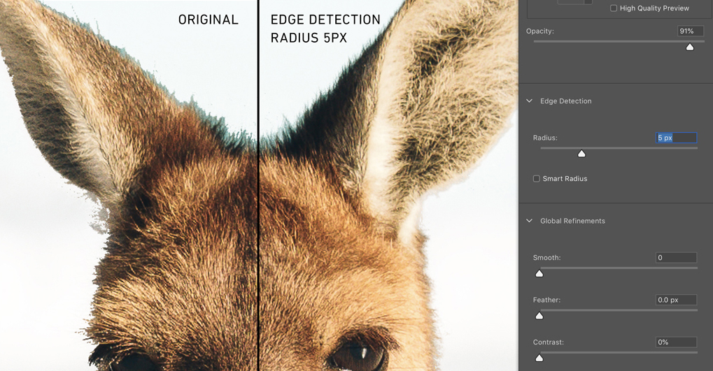 How to Smooth Edges in Photoshop After Making a Selection