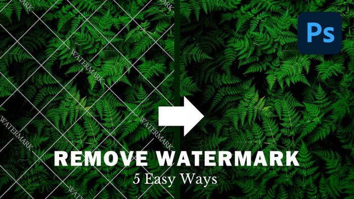 5 Easy Ways to Remove a Watermark in Photoshop (Ultimate Guide) 5 Easy Ways to Remove a Watermark in Photoshop (Ultimate Guide)